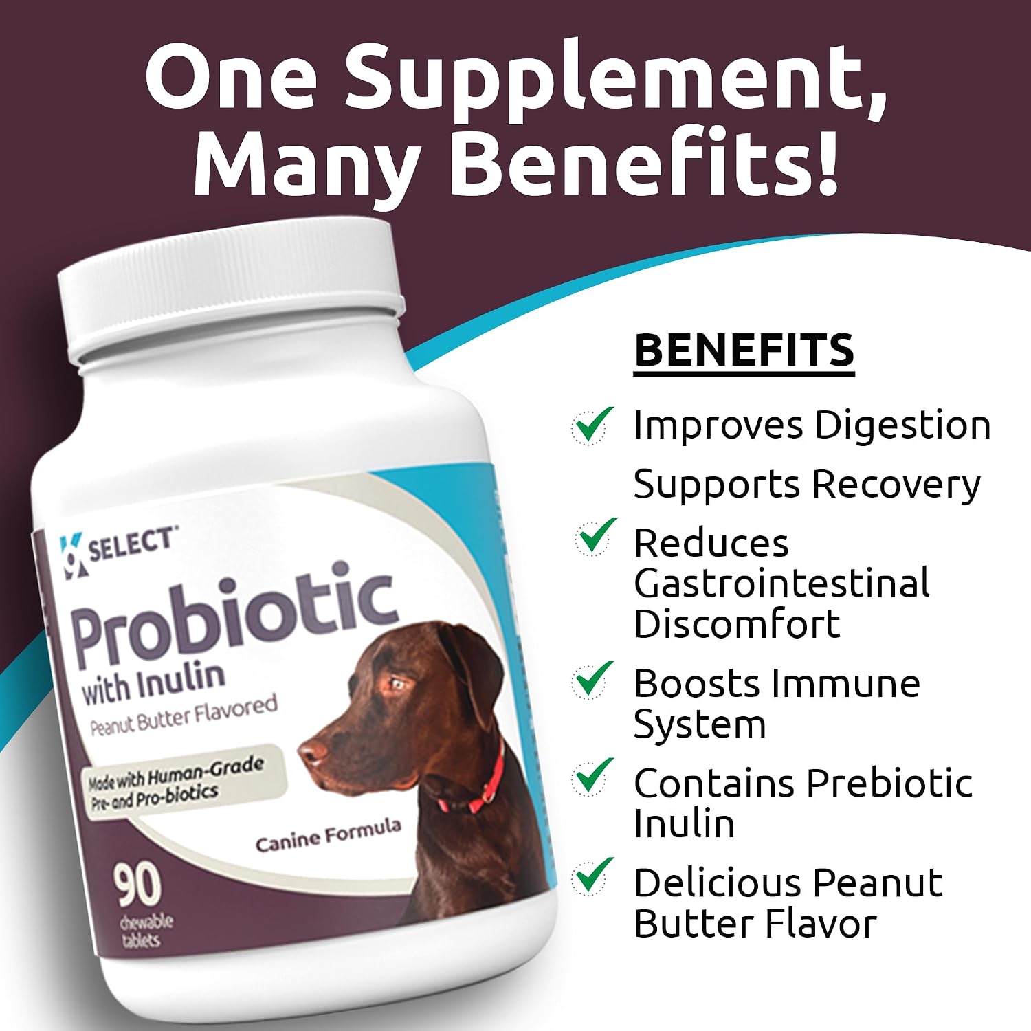 K9 Select Probióticos para Perros con Inulina – 90 Comprimidos