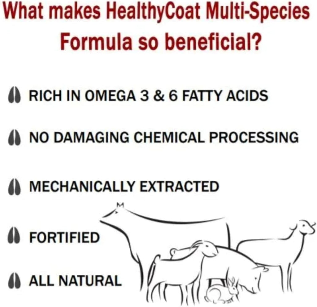 HealthyCoat Suplemento para Perros con Omega 3 y 6, Sabor a Tocino - 1 Galón