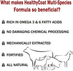 HealthyCoat Suplemento para Perros con Omega 3 y 6, Sabor a Tocino - 1 Galón