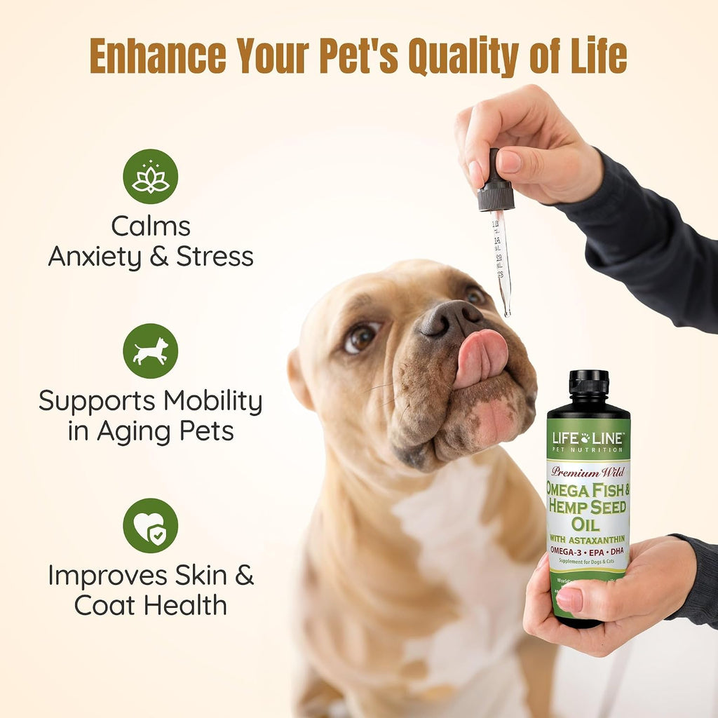Aceite de Cáñamo Premium Lifeline para Perros y Gatos – Suplemento Omega 3 con Aceite de Pescado y Astaxantina – 770 ml