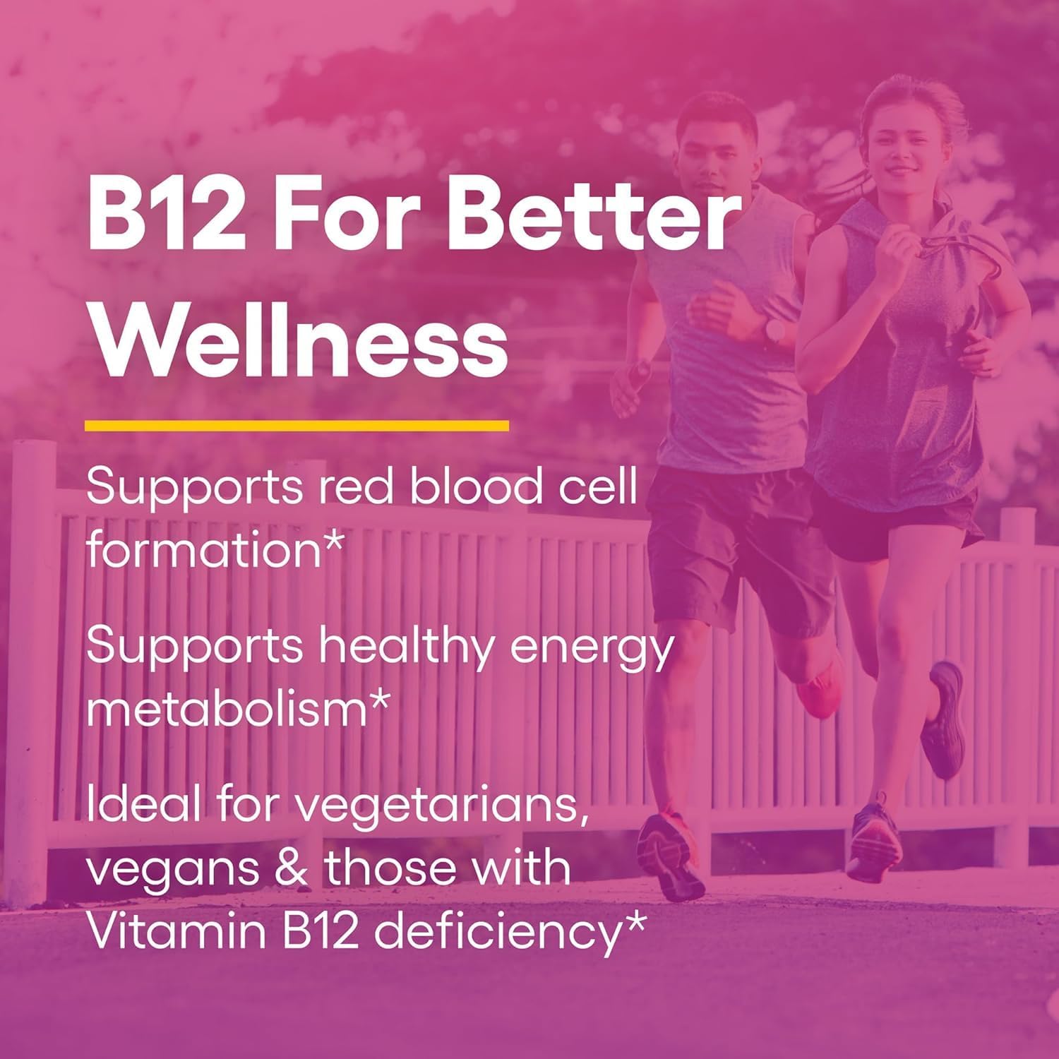 Natural Factors Vitamina B12 Metilcobalamina 1000 mcg Comprimidos de Disolución Rápida