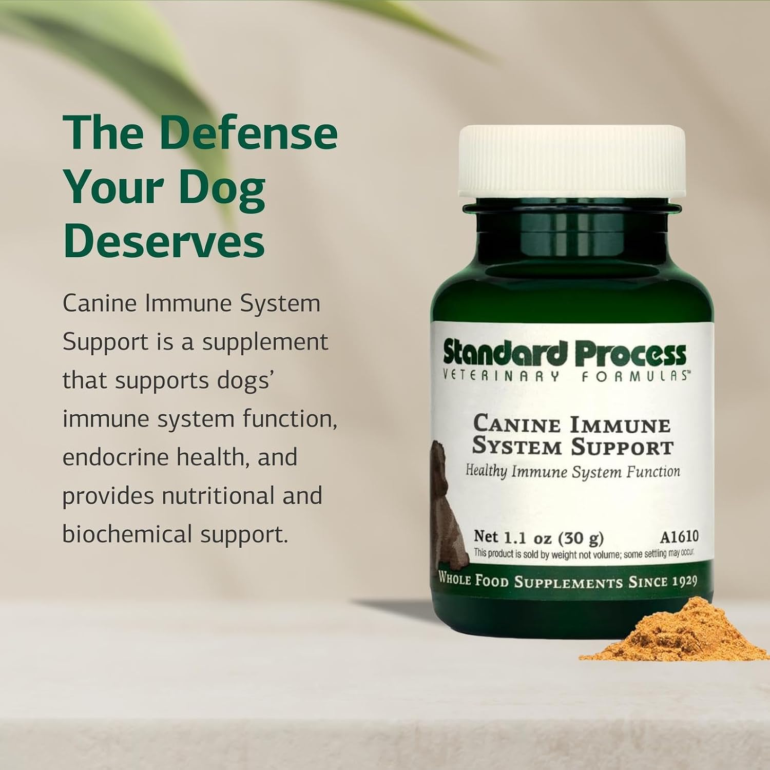 Standard Process Canine Immune System Support – Suplemento para el sistema inmunitario de perros – Polvo con zinc y algas – 30 g