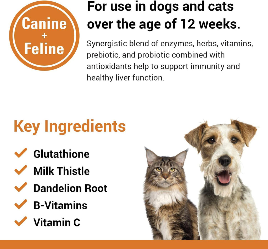 Vet Classics Liver Support – Suplemento Hepático para Perros y Gatos – 60 Comprimidos Masticables