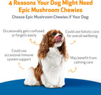 Pet Wellbeing Epic Mushroom Chewies para Perros – Apoyo Inmune, Salud Cognitiva y Adaptogénica con Hongos Funcionales Reishi, Chaga, Lion's Mane – Formulado por Veterinarios – 90 masticables blandos