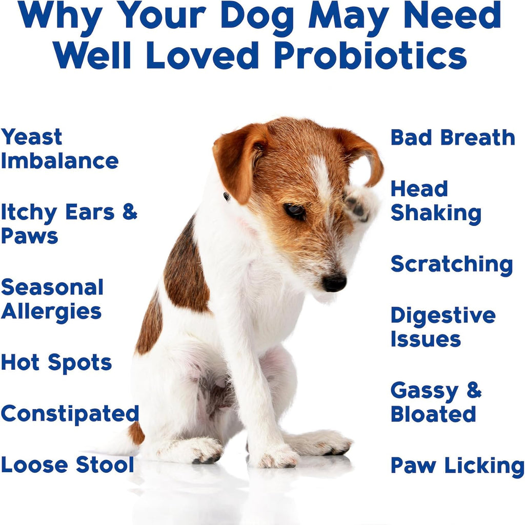 Well Loved Probióticos para Perros – Masticables Suaves con Prebióticos y Enzimas Digestivas