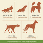 Spirited Paw Probiótico + Salud Intestinal - Apoyo Digestivo e Inmunológico para Perros y Gatos - Mezcla de Prebiótico, Probiótico y Postbiótico con Trigo Sarraceno Orgánico y Fibra de Raíz de Achicoria - 90 Cápsulas