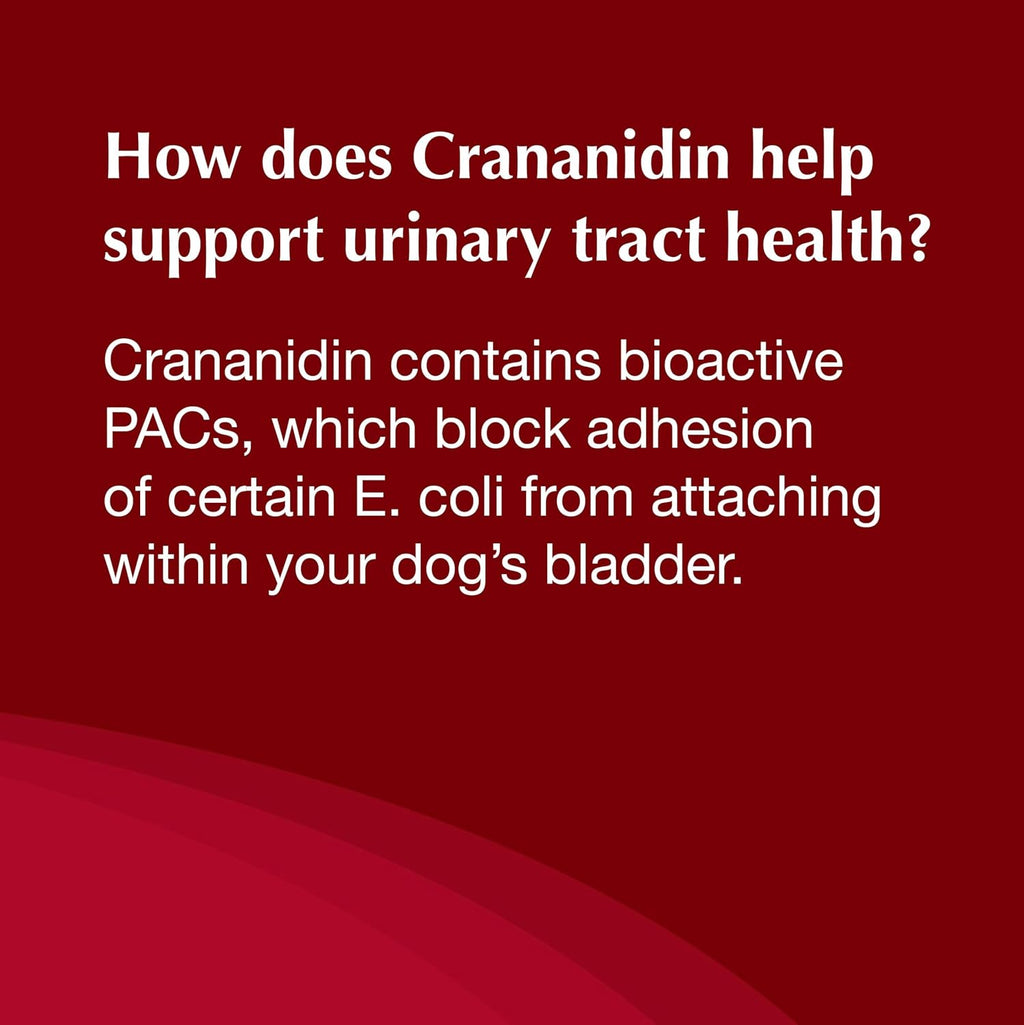 Nutramax Crananidin for Dogs - Cranberry Supplement for Urinary Health - Chewable Tablets, 75 Count