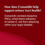 Nutramax Crananidin for Dogs - Cranberry Supplement for Urinary Health - Chewable Tablets, 75 Count