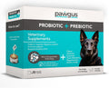 Pawgus Combo Prebiótico y Probiótico Definitivo para Perros - 30 Sobres
