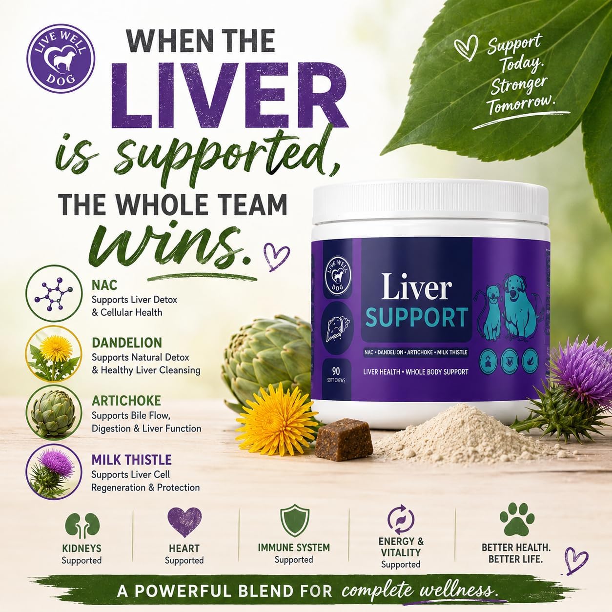 Live Well Dog Liver Support – Detox & Immunity Booster para Perros y Gatos | Cardo Mariano, NAC, Diente de León | 180 g