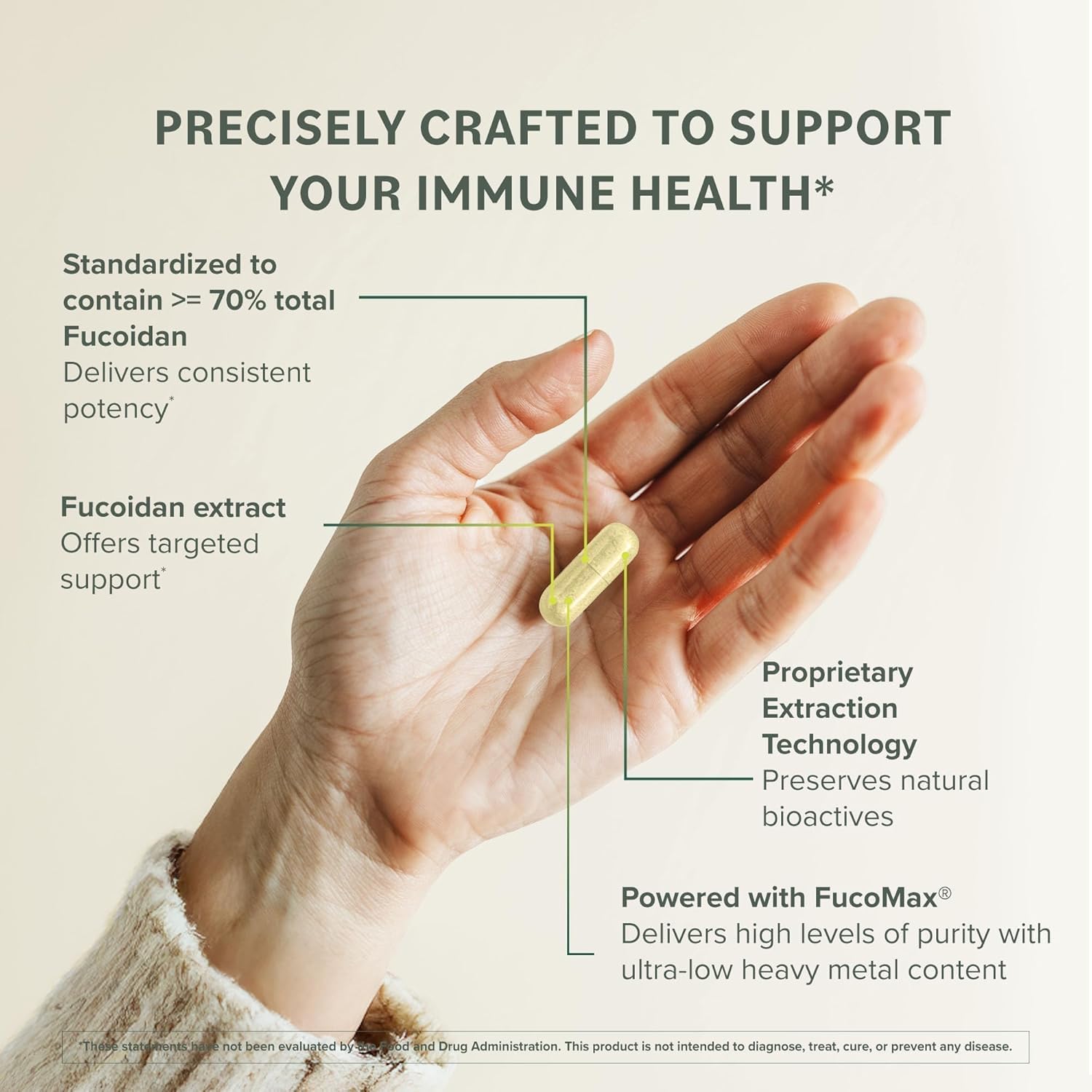 Prominent Nutrition Fucoidan 250 mg – 60 Cápsulas – Extracto de Alga Parda Premium para el Apoyo Digestivo e Inmune