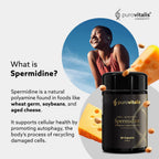 PUROVITALIS Spermidina Liposomal 5mg con Zinc, Vitamina D3 y B12 - 30 Cápsulas Veganas