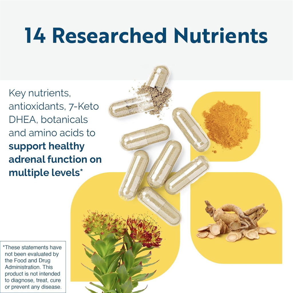 Energy Multi-Plex de Researched Nutritionals - Suplemento Energético Vegano con 14 Ingredientes (90 Cápsulas)