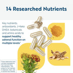 Energy Multi-Plex de Researched Nutritionals - Suplemento Energético Vegano con 14 Ingredientes (90 Cápsulas)