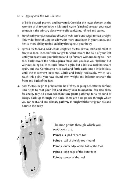 Qigong and the Tai Chi Axis: Nourishing Practices for Body, Mind, and Spirit – Image 9