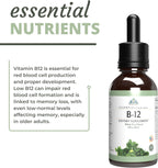 Optimal Health Systems Essential B-12 Drops | Vitamina B12 Líquida para Energía y Apoyo Cognitivo | 60 ml