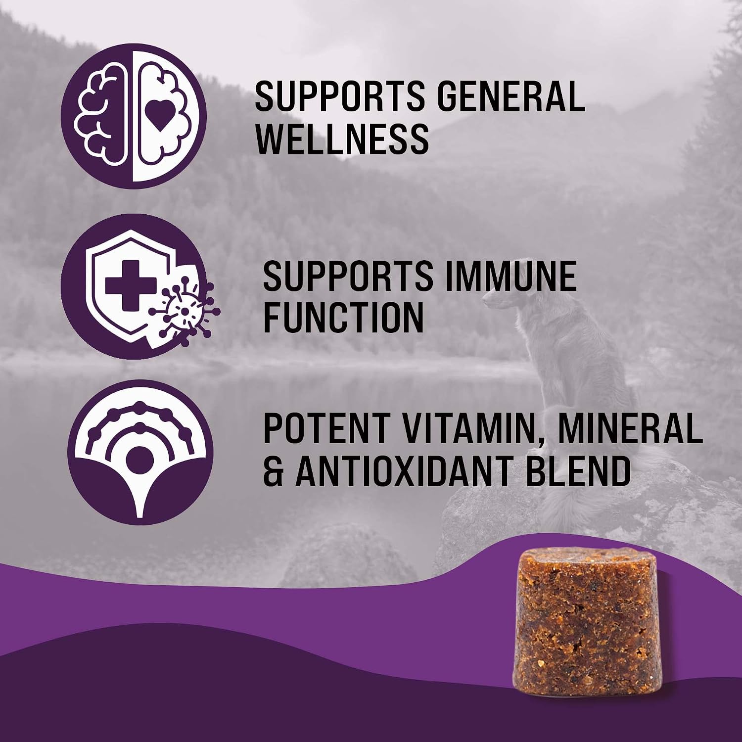 Dr. Boe's Veterinary Essentials MultiPup Vitamin Chews - Complemento multivitamínico para perros