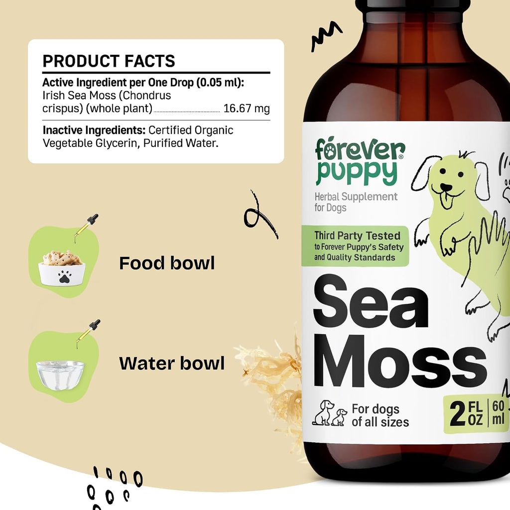 Irish Sea Moss Drops for Dogs - Thyroid Support & Energy - Nutritional Drops with Liquid Seamoss Extract - Dog Vitamins and Supplements for All Breeds & Sizes - Alcohol-Free - 59 ml