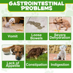 Probióticos en Polvo para Perros - Suplemento Digestivo con Prebióticos y Enzimas - 120 Dosis