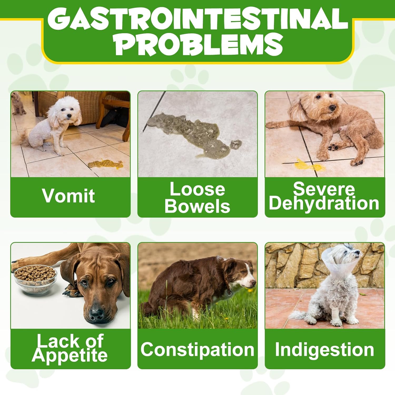 Probióticos en Polvo para Perros - Suplemento Digestivo con Prebióticos y Enzimas - 120 Dosis
