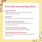 PURE SYNERGY D3 + K2 Complex | Complejo Vegano de Vitamina D3 y K2 con Algas Orgánicas y Alimentos Integrales | 60 Cápsulas