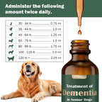 Suplemento para perros mayores: salud cerebral y apoyo nervioso con setas medicinales