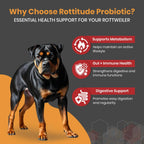 Probióticos para Perros – Suplemento Digestivo Natural para Rottweilers y Razas Grandes