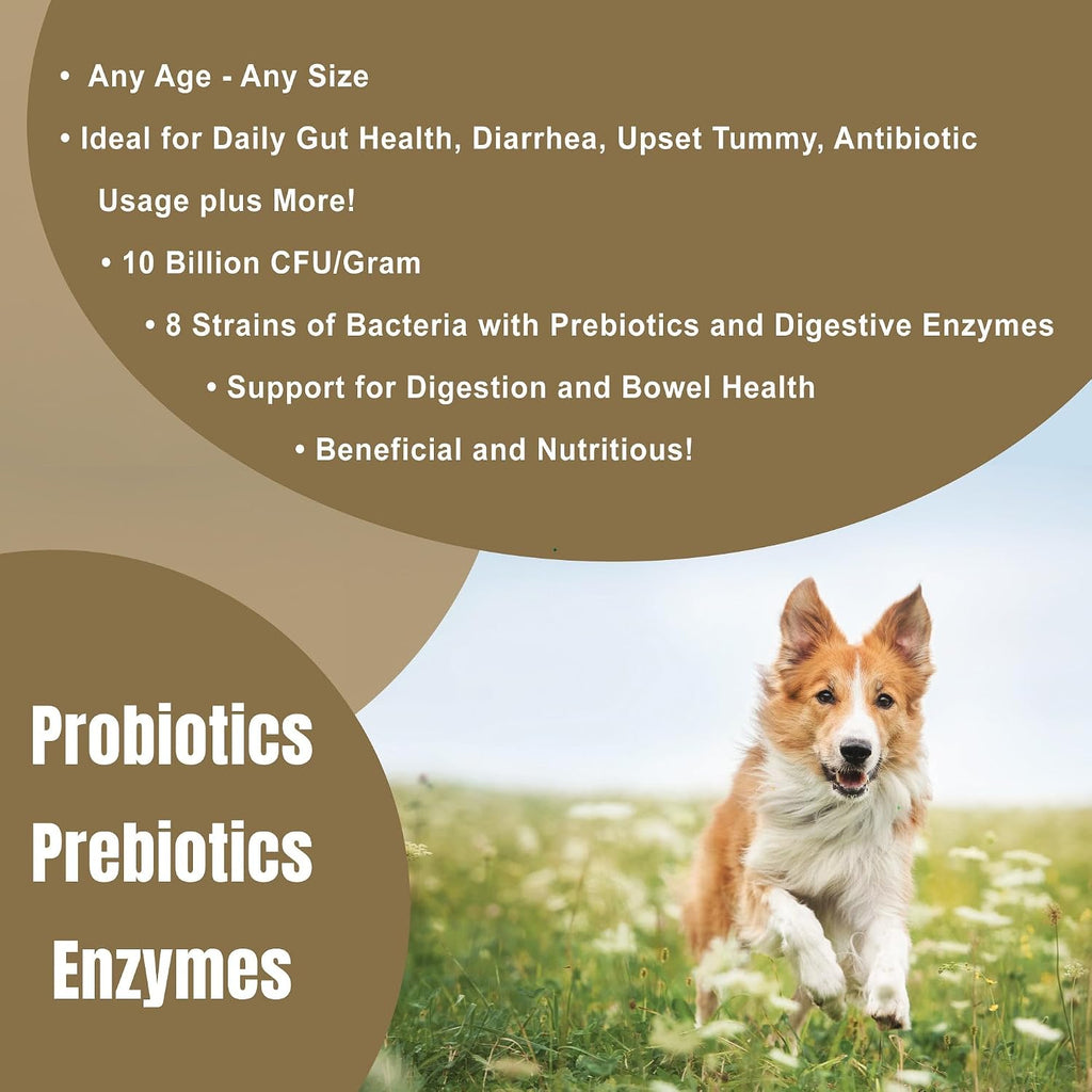 Dogzymes Probiotic Max - Probióticos y Enzimas Digestivas para Perros (900 g)