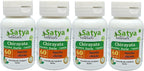 Chirayata Forte Cápsulas 500 mg - Extracto de Swertia Chirata (4 Frascos de 60 Cápsulas)