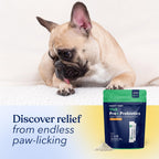 Honest Paws Probióticos para Perros - Polvo Digestivo con Prebióticos y Sabor a Calabaza (30 sticks)
