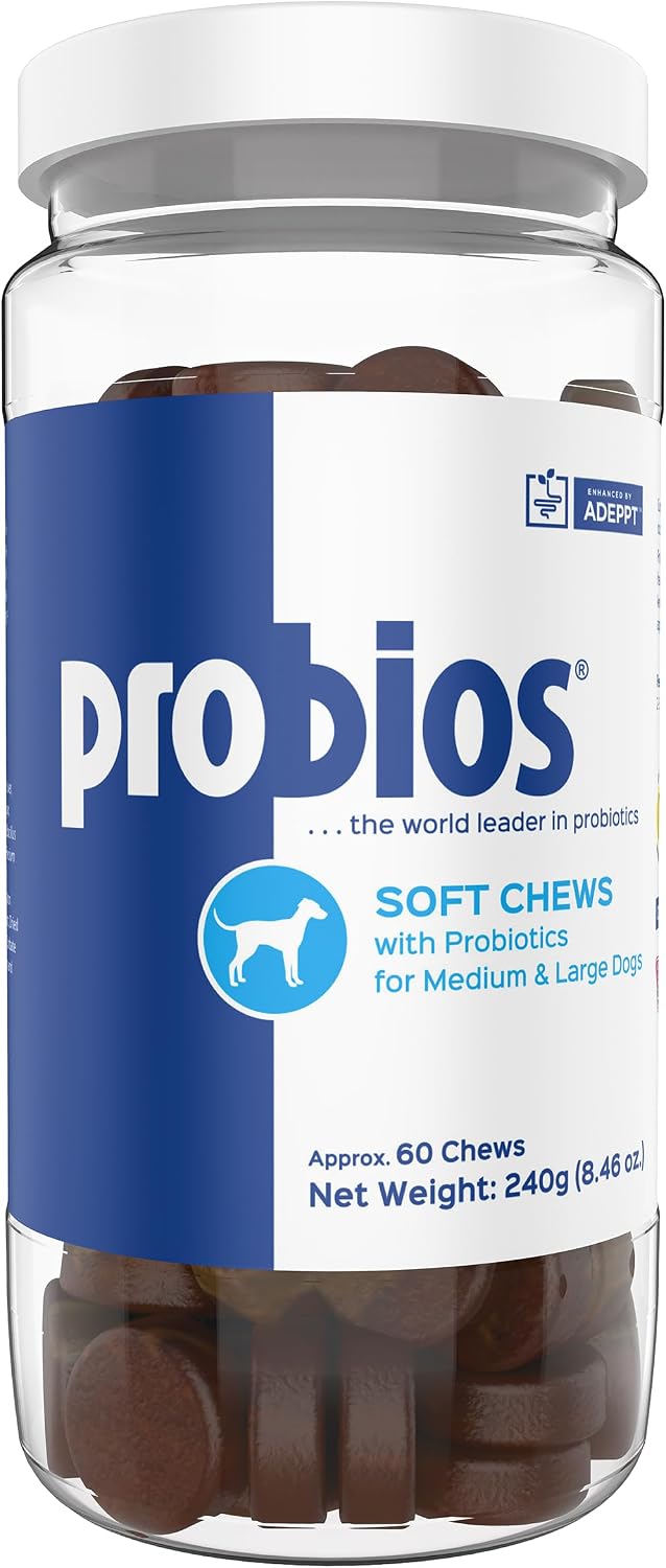 Probios for Dogs Soft Chews, Daily Probiotic Supplement for Digestive Health and Immunity, Medium to Large Breeds, Chicken Liver Flavor, 8.46oz 60 Chews