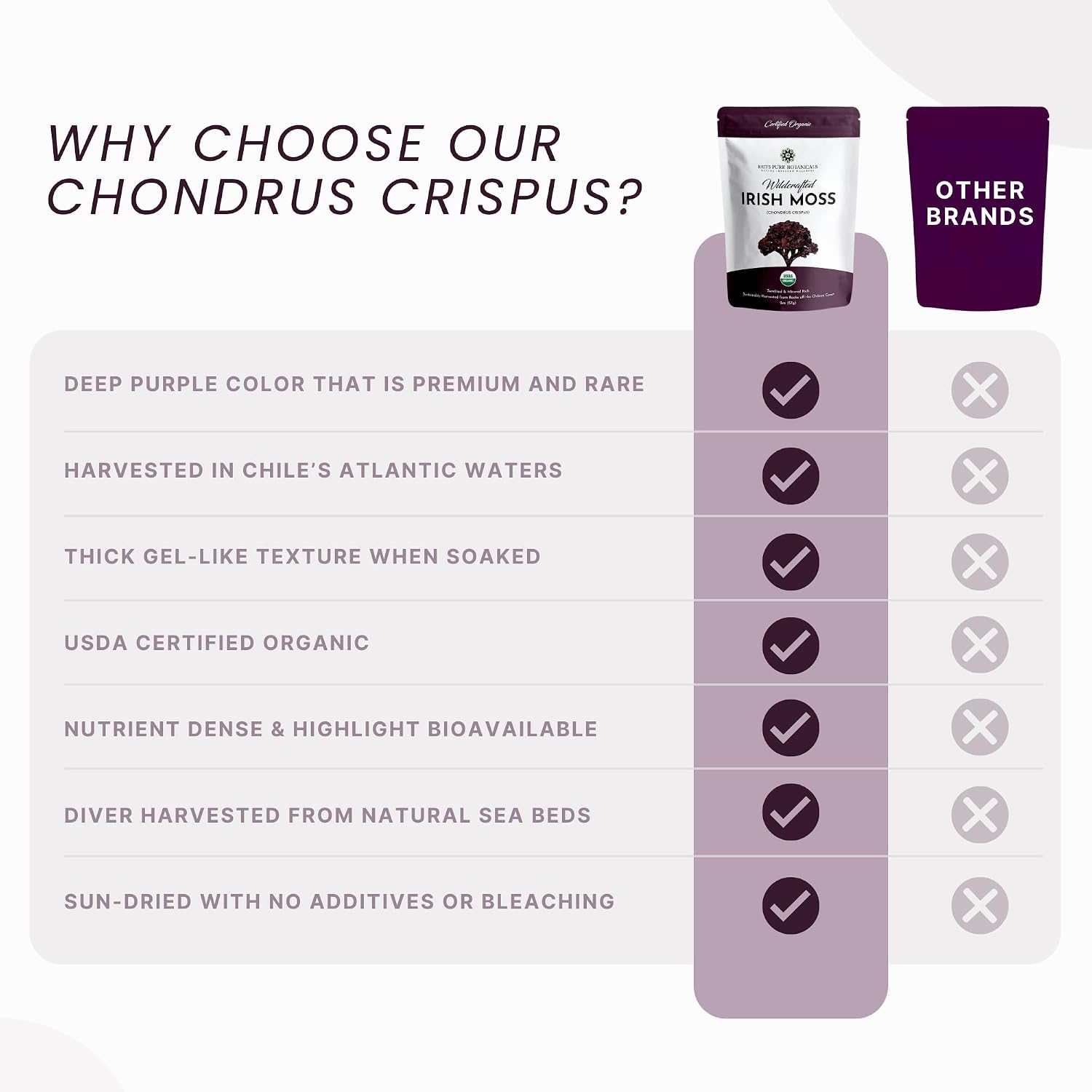 Red's Pure Botanicals Irish Sea Moss Orgánico – Chondrus Crispus Púrpura