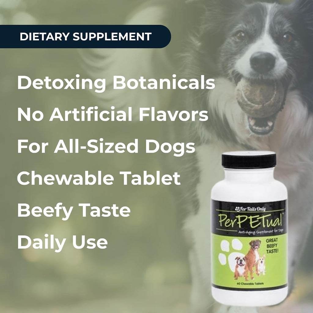 Youngevity Perpetual™ - Ultimate Anti-Aging and Bone Support for Dogs - with Glucosamine, Choline, MSM, Milk Thistle, Calcium, Turmeric, and More - 60 Chewable Tablets