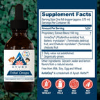 Ayush Herbs Trifal Gotas Niños - 60 ml (80 dosis) | Gotas digestivas ayurvédicas sin alcohol