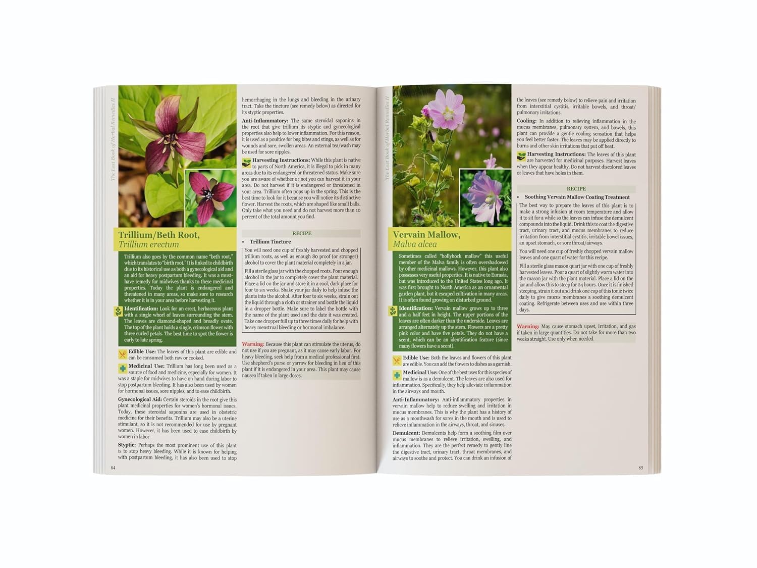 The Lost Book of Herbal Remedies II
