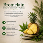 Super Immune Support, 6-in-1 Immune Supplement, N-Acetyl Cysteine (NAC), Quercetin, Elderberry, Chlorella, Chaga & Bromelain