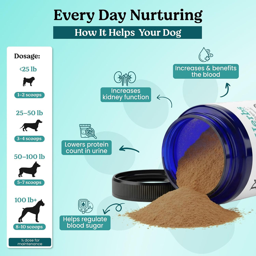Doggie Herbs Apoyo Renal Orgánico para Perros Mayores - Polvo de Rehmannia y Cordyceps - Suplemento para la Salud Renal y de la Vejiga - Grado Humano