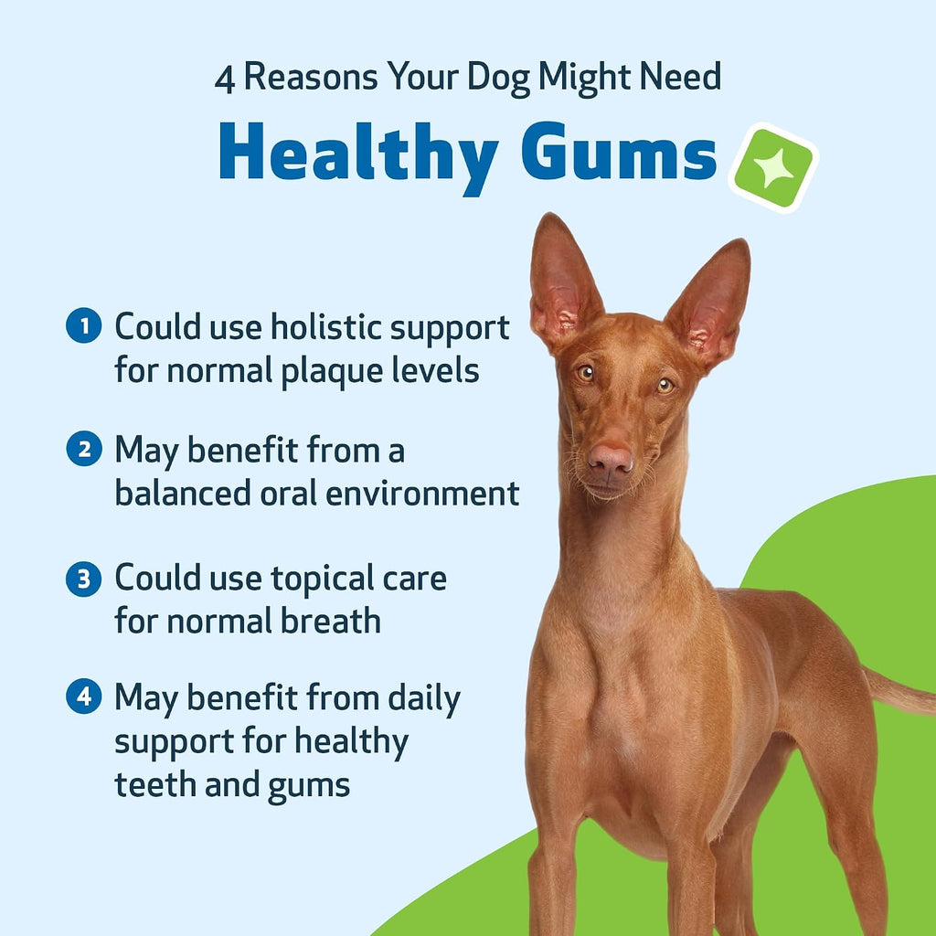 Pet Wellbeing Healthy Gums para Perros - Gotas Tópicas para Cuidado Bucal, Salud Dental y Aliento Fresco - Certificado NASC y Formulado por Veterinarios - Líquido de 118 ml