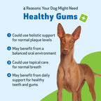 Pet Wellbeing Healthy Gums para Perros - Gotas Tópicas para Cuidado Bucal, Salud Dental y Aliento Fresco - Certificado NASC y Formulado por Veterinarios - Líquido de 118 ml