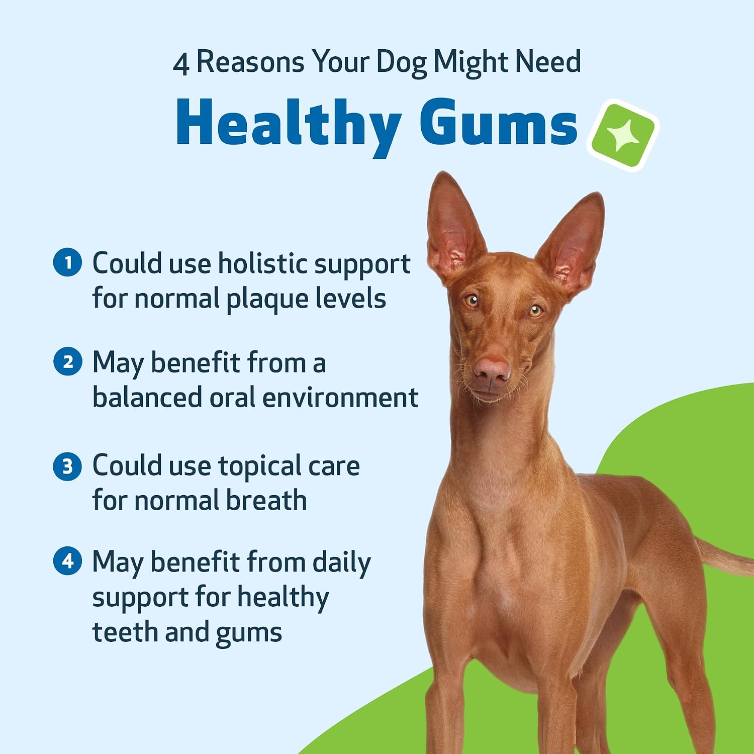 Pet Wellbeing Healthy Gums para Perros - Gotas Tópicas para Cuidado Bucal, Salud Dental y Aliento Fresco - Certificado NASC y Formulado por Veterinarios - Líquido de 118 ml