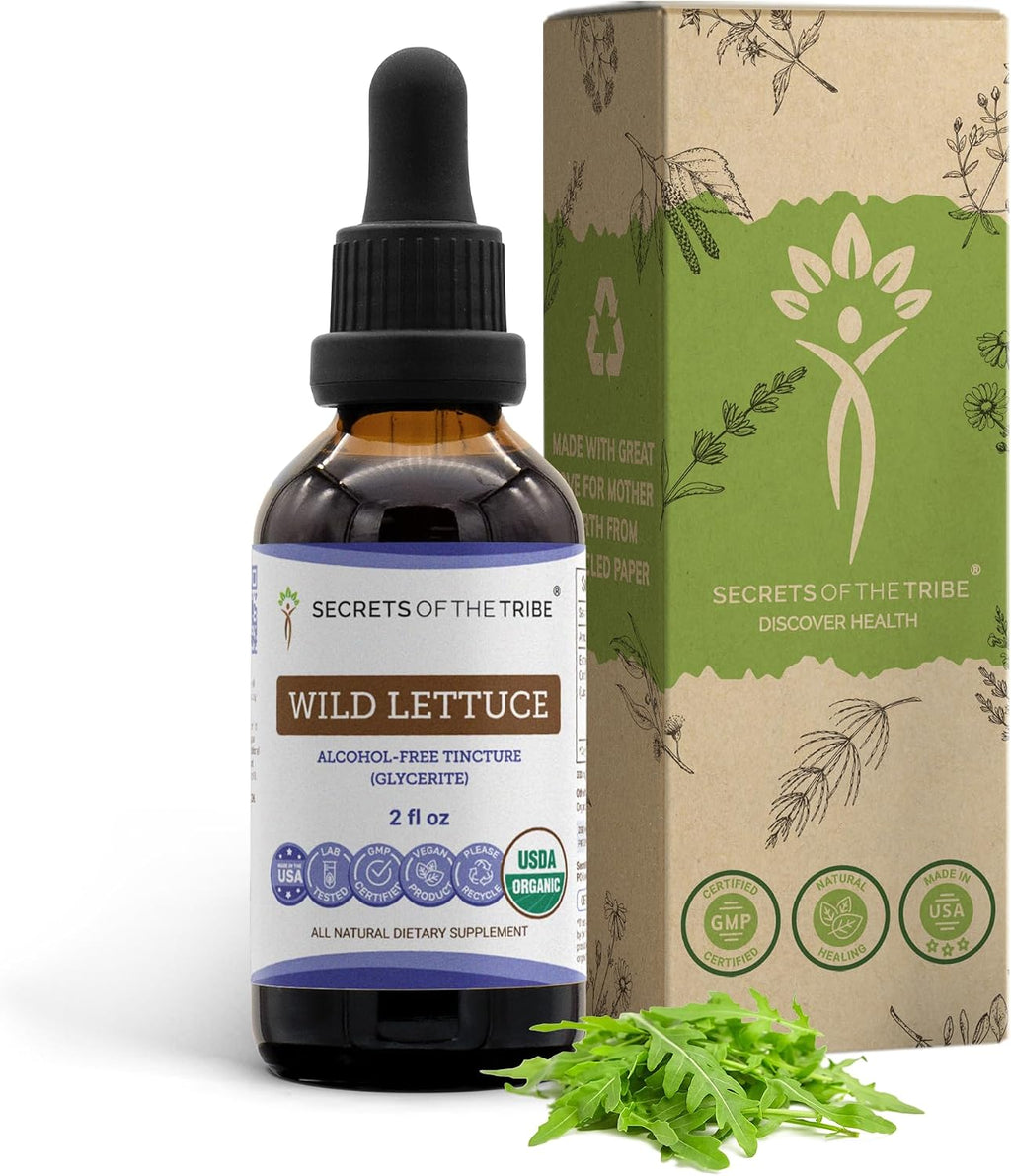 Secrets of the Tribe Lechuga Silvestre Orgánica - Extracto sin Alcohol, Gotas Herbales de Alta Potencia, 2 oz (60 ml)