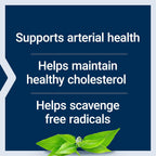 Life Extension Theaflavin Standardized Extract – Flavonoides de Té Negro, Salud Arterial, Colesterol Saludable – 30 Cápsulas
