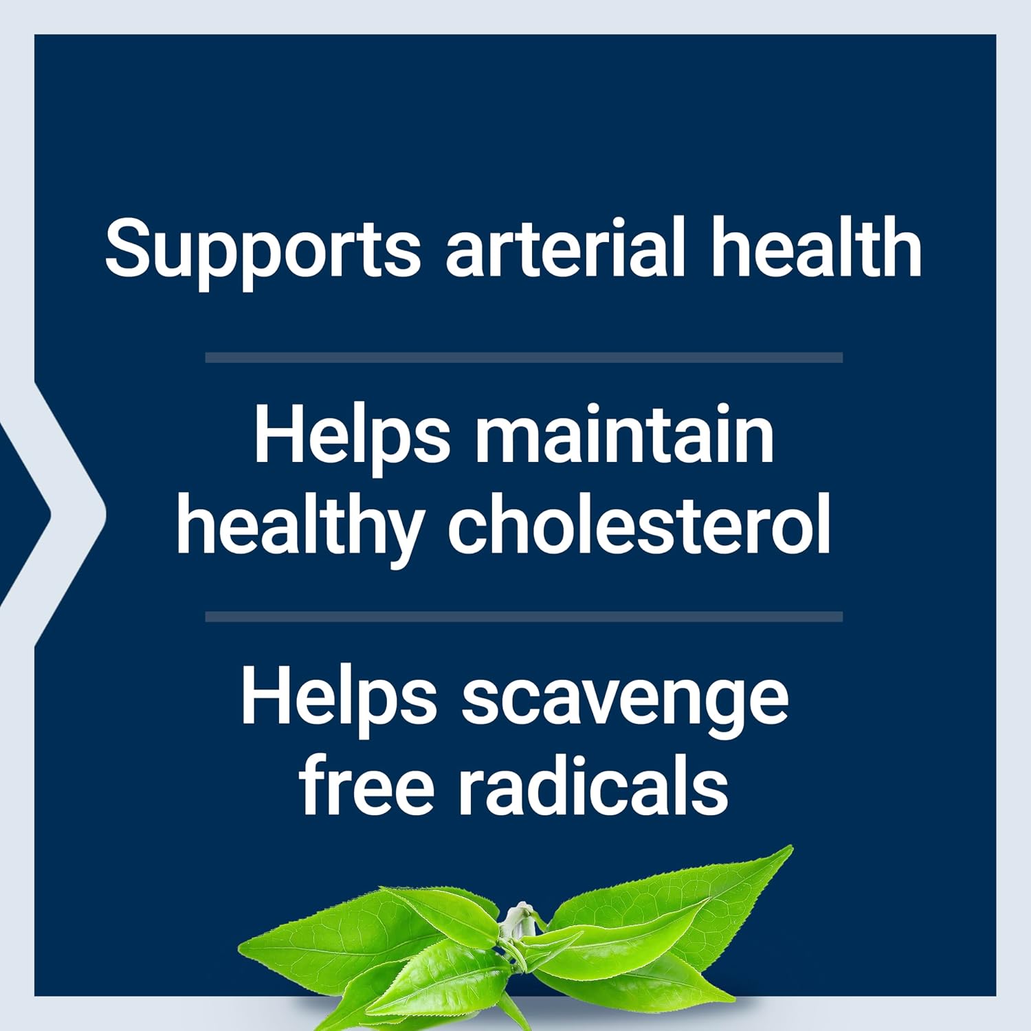 Life Extension Theaflavin Standardized Extract – Flavonoides de Té Negro, Salud Arterial, Colesterol Saludable – 30 Cápsulas