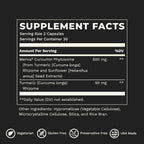 LifeSeasons Essentials Meriva Turmeric - Cúrcuma Phytosome - 60 Cápsulas
