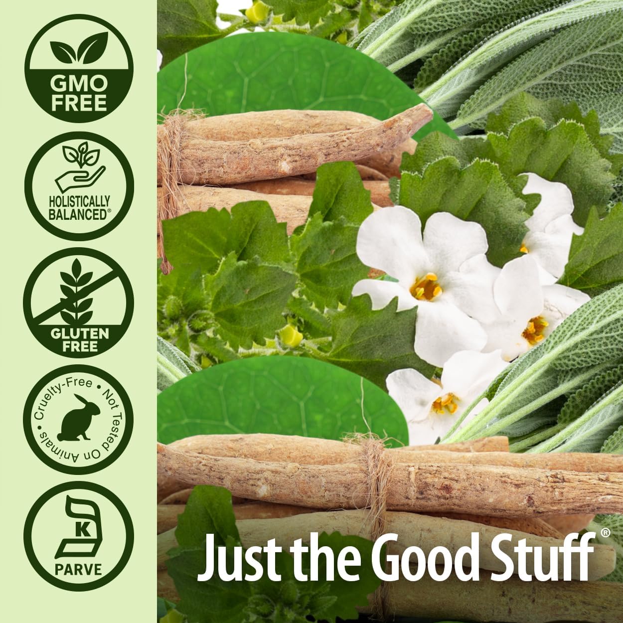 Nature's Answer CogniMax 1330 mg - 60 Cápsulas - Apoyo para la Memoria y Concentración