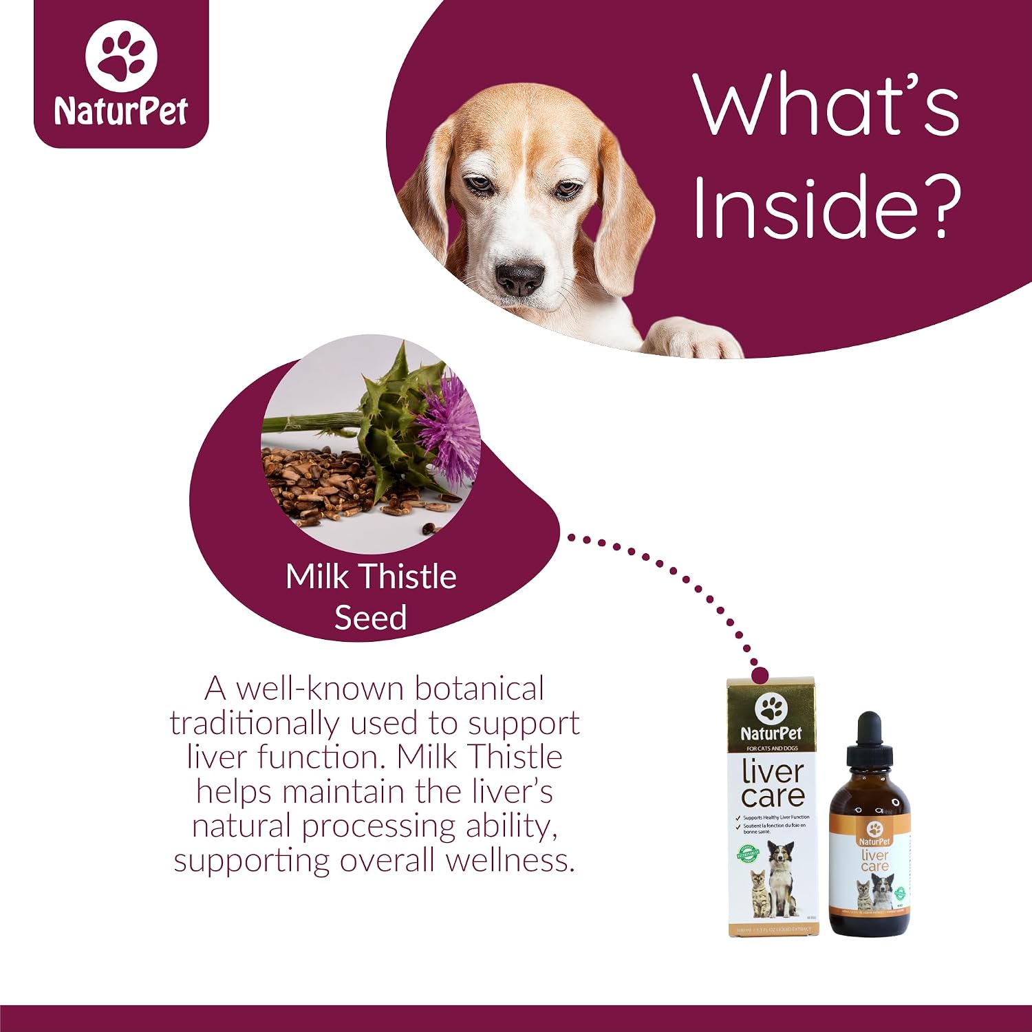 Arrowleaf Pet Liver Care para Perros y Gatos | Tintura Herbal de Cardo Mariano | 100 mL