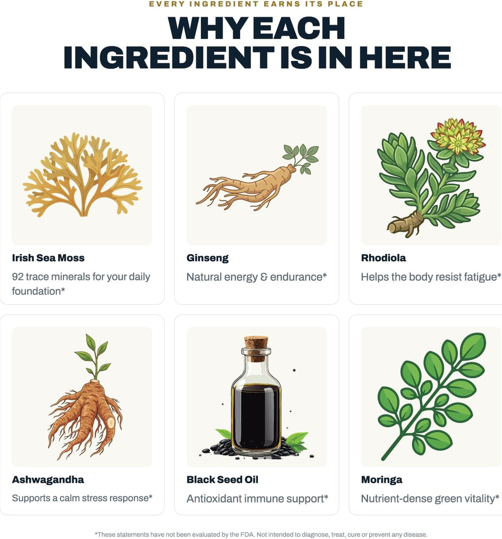 Sea Moss Capsules – Irish Sea Moss con Black Seed Oil, Ashwagandha, Moringa, Ginseng y Ginger – Suplemento Nutricional – 60 Cápsulas