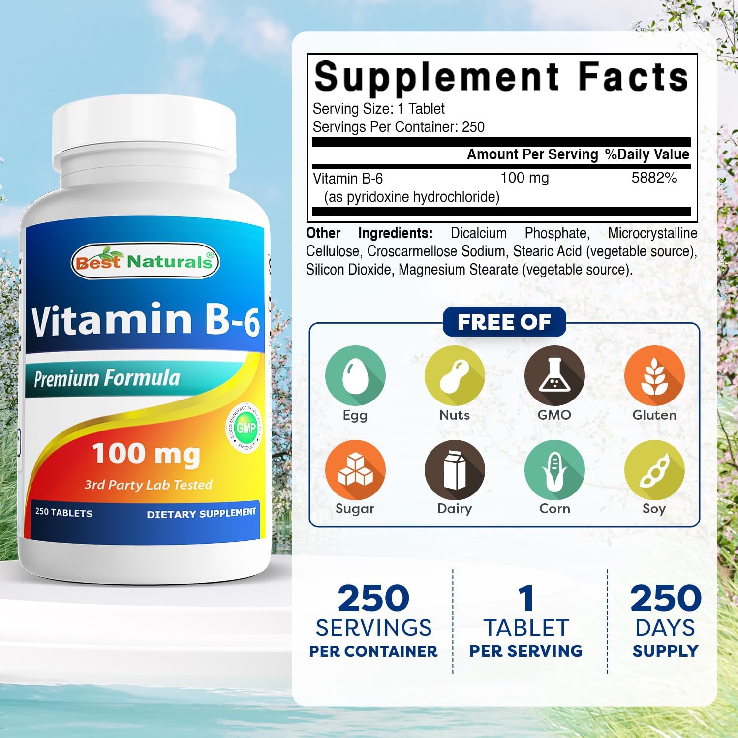 Best Naturals Vitamina B6 100 mg, 250 comprimidos