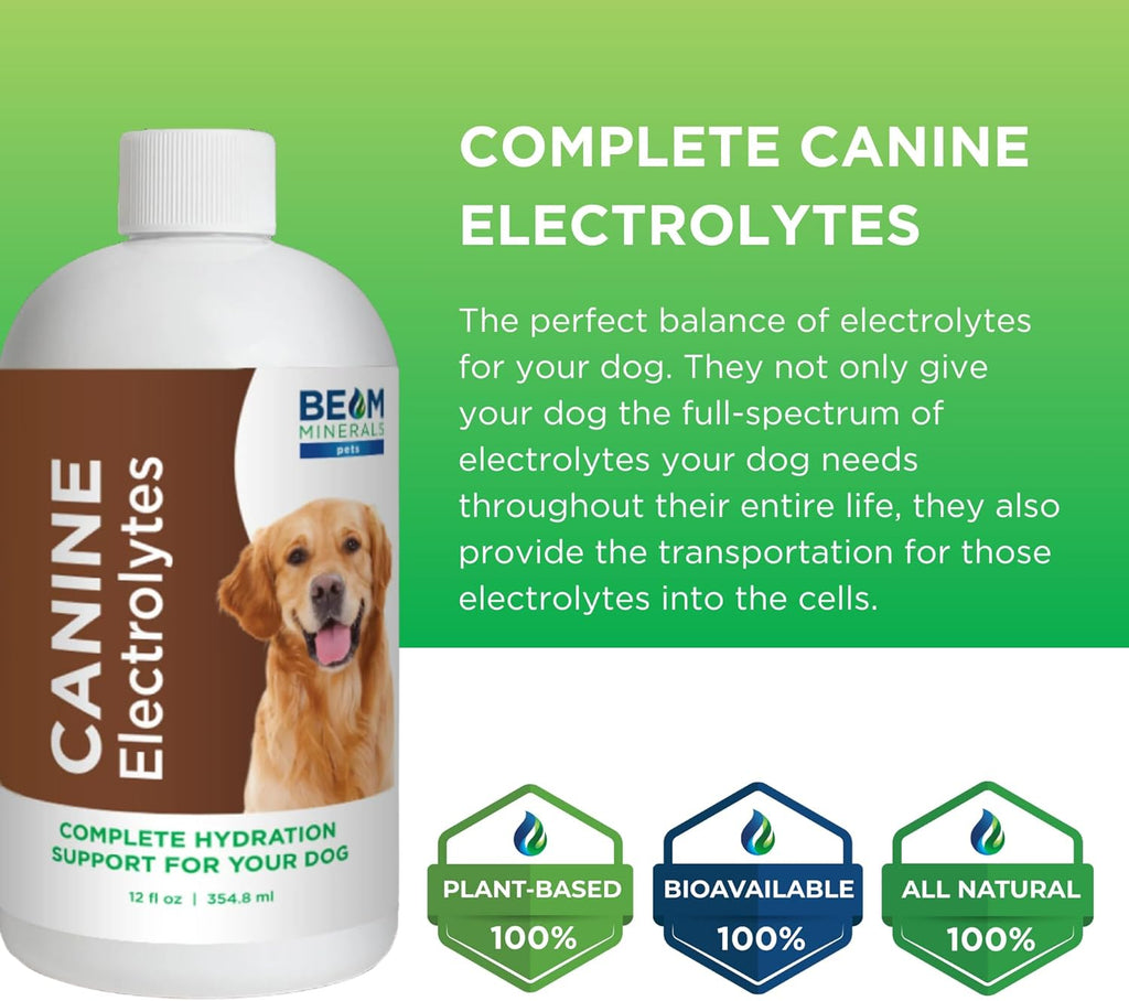 Complete Canine Electrolytes | Electrolitos completos para perros | 355 ml