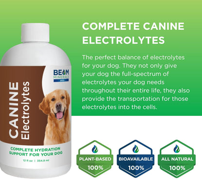 Complete Canine Electrolytes | Electrolitos completos para perros | 355 ml – Image 4